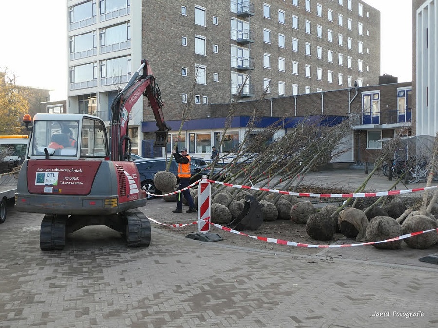 Bomen Convivium uitladen