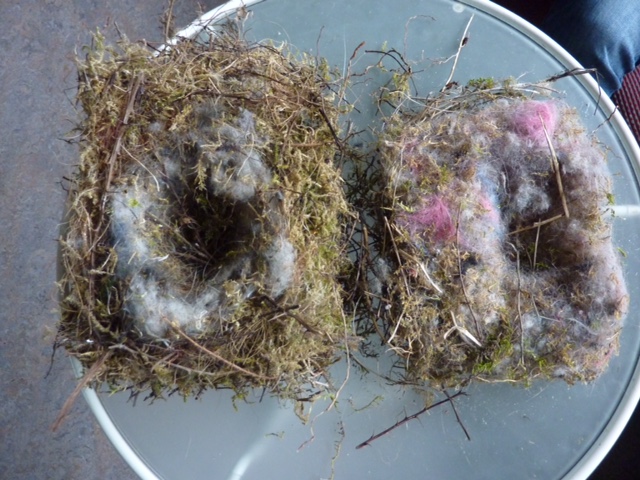 vogelnestjes